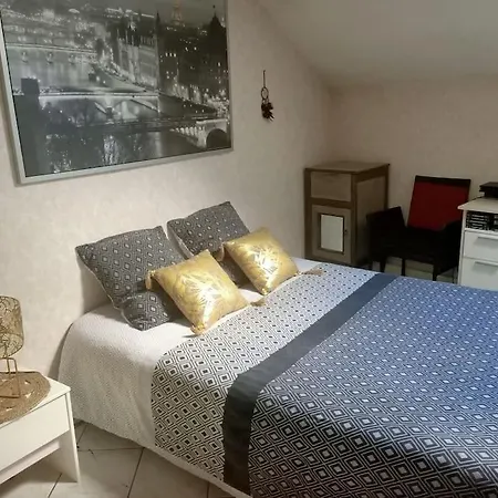 Confortable En Centre-ville + Parking Prive + Cour Apartment Angers