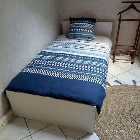Confortable En Centre-ville + Parking Prive + Cour Apartment Angers