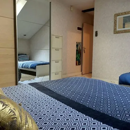 Confortable En Centre-ville + Parking Prive + Cour Apartment